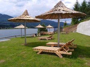 科利比塔Casa Eden - Apartamente langa lac的一组野餐桌和遮阳伞,位于湖边