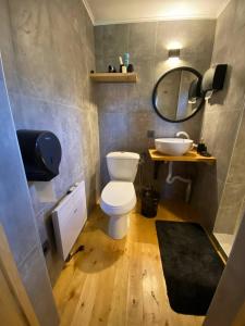 DzhergalanPeak Lodge Jyrgalan的一间带卫生间、水槽和镜子的浴室
