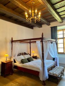 布兰纳zámek Kolštejn - hotel Chateau Goldenstein的一间卧室配有一张天蓬床和吊灯。