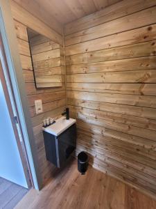 HamParkhoeve Glamping的浴室配有带水槽的木墙