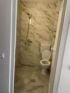 佩斯塔尼Apartments Picioski的一间带卫生间和淋浴的浴室