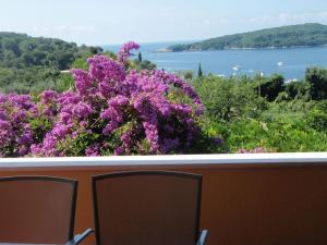 莫鲁纳特Apartment Luna的两把椅子坐在一个种着紫色花卉的阳台