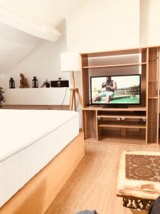 沙勒罗瓦FERTILE的一间带电视和沙发的客厅