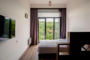 萨克德佐尔镇RIS Holiday Apartments Tsaghkadzor的一间卧室设有一张床和一个大窗户