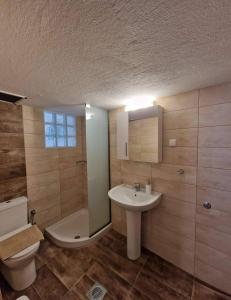 斯卡拉拉乔伊Xanthiotis Apartments的一间带卫生间和水槽的浴室