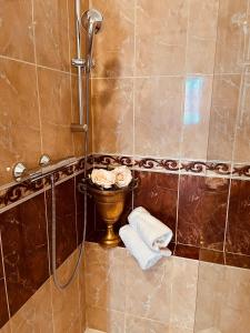 捷克克鲁姆洛夫贝尔坎托公寓的带淋浴、卫生间和毛巾的浴室