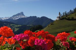 拉瓦莱Miribunghof的山上有教堂的花束