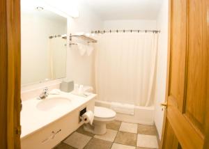 MandanNorth Country Inn & Suites的一间带水槽和卫生间的浴室