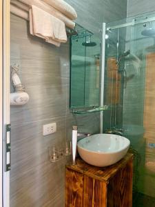 枚州县梅州乡村民宿的一间带水槽和玻璃淋浴的浴室