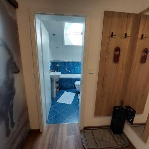 巴特欣德朗加尼玛莱文克酒店的带淋浴、卫生间和盥洗盆的浴室