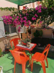 加拉塔斯Trizinia View Garden的两张椅子和一张带粉红色花的桌子