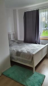 卡托维兹Spokojna APT的一间卧室配有一张带窗户和绿色地毯的床。