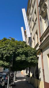 布拉格FLEUR DE LIS HOTEL的大楼前的一大棵绿色树