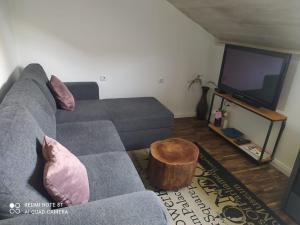 萨莫博尔Studio apartman Gradna的客厅配有灰色的沙发和电视