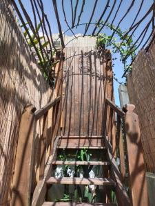 圣吕斯Kawaida - Hébergement insolite - Glamping Makazi的木楼梯,上面有植物