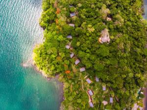 蓬塔雷纳斯Isla Chiquita Glamping Hotel的水体旁森林岛屿的空中景观