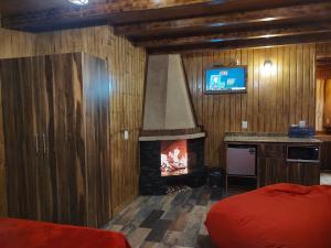 罗斯阿祖弗雷斯特亚玛尼赖斯俱乐部酒店的一间卧室设有壁炉、一张床和一台电视。