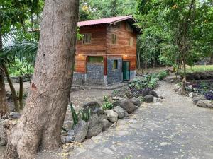 Ponta Figo姆卡布里山林小屋的森林中的小木屋