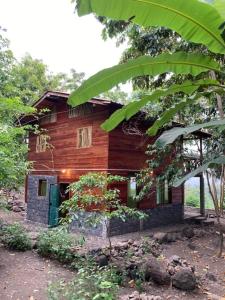 Ponta Figo姆卡布里山林小屋的森林中间的木屋