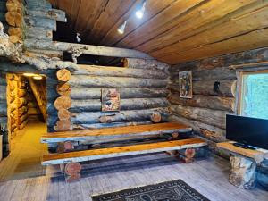 KaresuvantoVilla Suopursu的小木屋内的一个房间,配有长凳