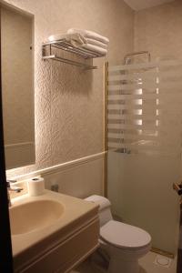 海米斯穆谢特فندق وايت مون للأجنحة الفندقية的一间带水槽、卫生间和镜子的浴室