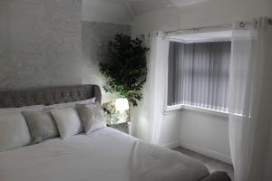 伯明翰Luxury 3 Bedroom House的一间卧室配有一张床和一个植物窗户