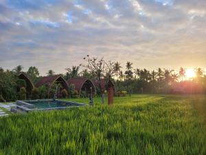 班尤温当Umma Bali Menjangan Retreat的一片高大的绿草,毗邻房子