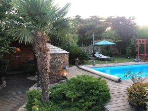 Penta-di-CasincaChalet - Piscine - Wifi的一座房子旁的棕榈树游泳池