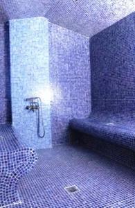 弗洛里纳费顿温泉酒店 的带淋浴的浴室和紫色瓷砖墙壁