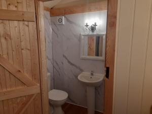 TrefeglwysTop of the Rock Glamping的浴室配有白色卫生间和盥洗盆。