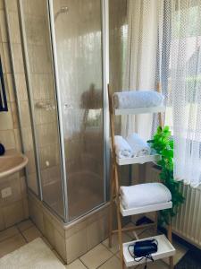 波滕施泰因Forsterhof的带淋浴和毛巾架的浴室