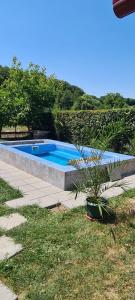 索瓦塔Casa cu Aburi Sovata的院子里的游泳池,种植了盆栽植物