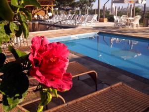 佩尼亚佩德拉伊尔哈望厦酒店的游泳池旁长凳上的红花