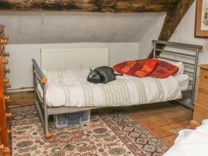 RaglanMedieval Cottage in rural Monmouthshire.的狗躺在房间里床上