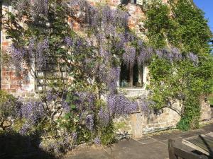 RaglanMedieval Cottage in rural Monmouthshire.的相册照片