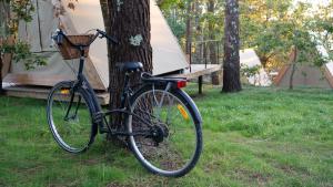 MiñortosAmaraxe Ecoglamping的停在帐篷前树旁的自行车