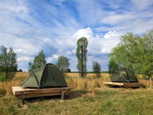 GorajecStrefa Nadgraniczna Agro-glamping的田野旁的两个帐篷