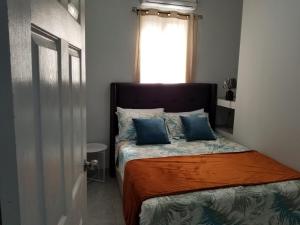 伯利兹城Royal View Apartment Plus的一间卧室配有一张带蓝色枕头的床和一扇窗户。