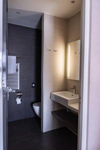 迪尔斯泰德附近韦克Hotel Brasserie Florian的一间带水槽和卫生间的浴室