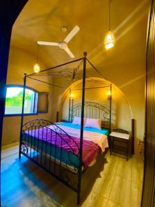 卢克索Gold's Villa的一间卧室,卧室内配有一张天蓬床
