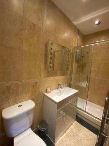 谢菲尔德Queens Ground的浴室配有卫生间、盥洗盆和淋浴。