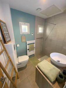 昂热Maison Angers La Madeleine Rooftop的浴室配有卫生间、盥洗盆和淋浴。