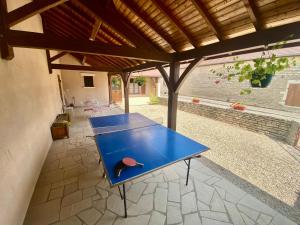 Ladoix SerrignyMaison familiale dans village viticole的天井中央的乒乓球桌