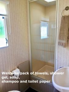 德拉姆纳德罗希特Forest View - Adults Only - Maximum 2 Guests的带淋浴、卫生间和盥洗盆的浴室