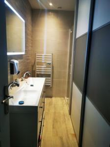 利布尔讷APPARTEMENT COSY LIBOURNE的浴室设有白色水槽和镜子