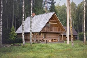 KärsuAasa Holiday Homes的木头上带金属屋顶的小木屋