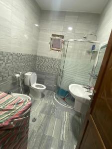 Ad Dimnahمزرعة النجم Najem farm的一间带卫生间和水槽的浴室