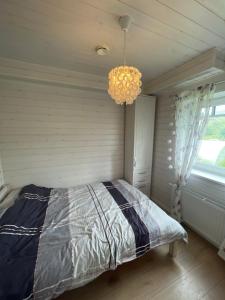 VissiAunt Owl’s House的一间卧室配有一张床和一个吊灯
