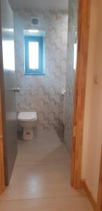 伦敦Jadwin Beautiful Room Share toilet 2 people的一间带卫生间和窗户的浴室