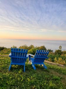CloridormeMotel du Cap St-Yvon的两把蓝色椅子坐在靠近海洋的草地上